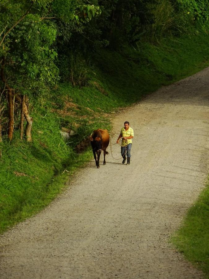 Miztli Lodge & Adventure Monteverde Exterior foto