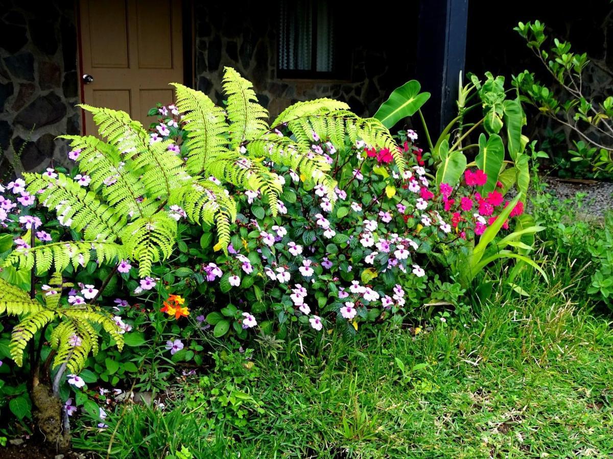 Miztli Lodge & Adventure Monteverde Exterior foto
